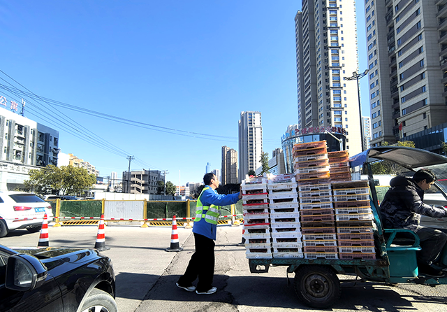 1739170103276184.png 官網(wǎng)圖片尺寸3.png