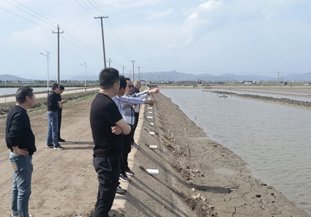 1744878653491153.png 官網(wǎng)圖片尺寸2.png